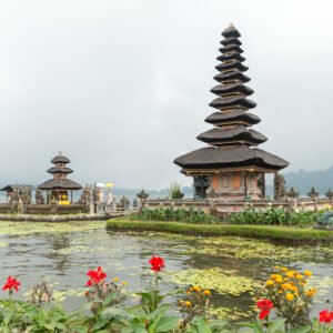 One Bali Tours Experience